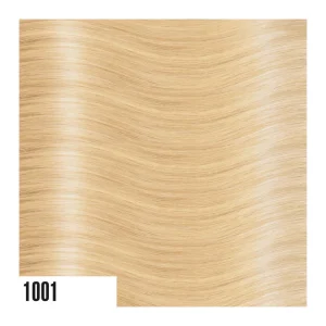 heat hair extensions 1001