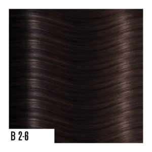 heat hair extensions B2-6