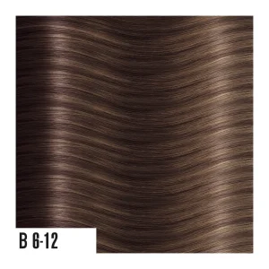 heat hair extensions B6-12