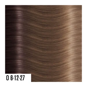 heat hair extensions O6-12-27 (1)