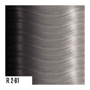 heat hair extensions R2-61
