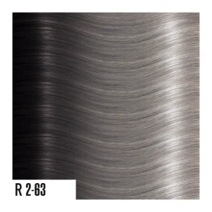 heat hair extensions R2-63
