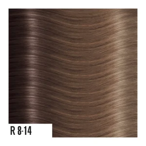 heat hair extensions R8-14