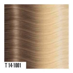 heat hair extensions T14-1001