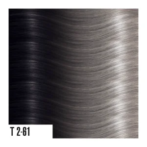 heat hair extensions T2-61