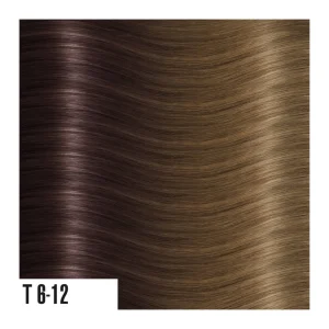 heat hair extensions T6-12
