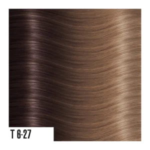 heat hair extensions T6-27