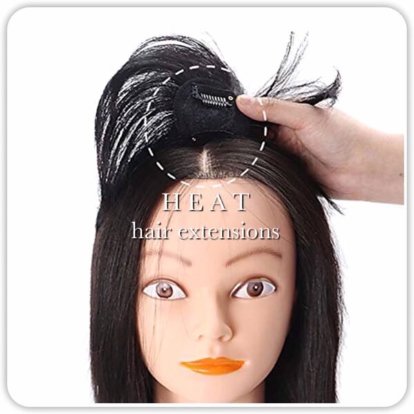 heat-hair-extensions-img_1431