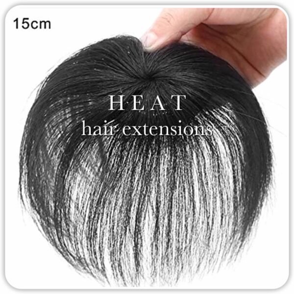 heat-hair-extensions-img_1437