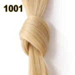 1001