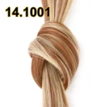 M14/1001