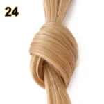 24