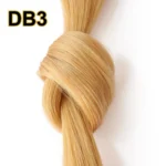 DB3