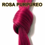 ROSA PURPUREO